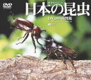 詳しい納期他、ご注文時はお支払・送料・返品のページをご確認ください発売日2003/7/31日本の昆虫／DVD映像図鑑 ジャンル 趣味・教養動物 監督 出演 動画による説得力で贈るDVD映像図鑑シリーズ。120種類以上の人気の昆虫を、昆虫撮影の第一人者・海野和男が、独自のノウハウとテクニックを駆使して驚異の世界を紹介する。虫の音や、感動的な光るホタルまで収録した昆虫ファン必見の完全保存版。特典映像高速度撮影／超マクロ映像／食べる・変身する昆虫／ボーナス映像”虫の音と音楽のゆらぎ” 種別 DVD JAN 4945977200397 収録時間 120分 画面サイズ スタンダード カラー カラー 組枚数 1 製作年 2003 製作国 日本 字幕 日本語 音声 ドルビー（ステレオ）DD（5.1ch） 販売元 シンフォレスト登録日2005/12/27