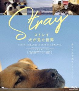 ストレイ 犬が見た世界 [Blu-ray]