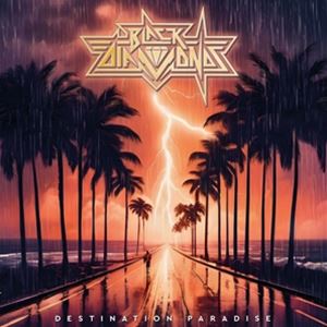 輸入盤 BLACK DIAMONDS / DESTINATION PARADISE [LP]