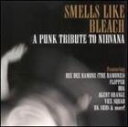 輸入盤 VARIOUS / SMELLS LIKE BLEACH ： A TRIBUTE TO NIRVANA [CD]