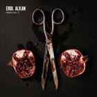 輸入盤 EROL ALKAN / FABRICLIVE 77 [CD]