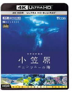 楽天ぐるぐる王国DS 楽天市場店ビコム 4K Relaxes 世界自然遺産 小笠原 〜ボニンブルーの海〜 [Ultra HD Blu-ray]