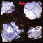 ͢ STRANGLERS / LA FOLIE [CD]