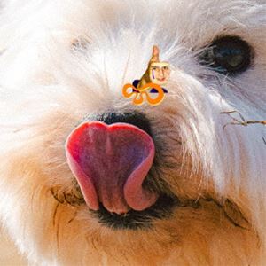 オティス・リム / プレイグラウンド [CD]