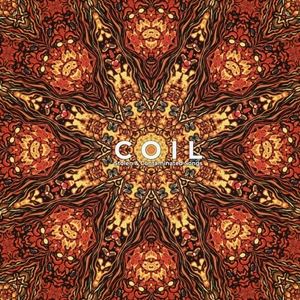 輸入盤 COIL / STOLEN ＆ CONTAMINATED SONGS 