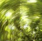 澤田勝秋／木津茂理 / つるとかめ／しゃっきとせ つるとかめIII [CD]