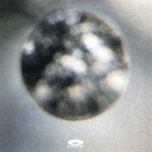 PEARL CENTER / Orb [CD]
