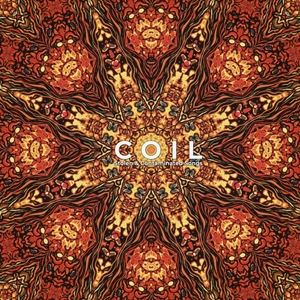 A COIL / STOLEN  CONTAMINATED SONGS [2LP]