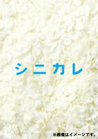 シニカレ完全版 ブルーレイBOX [Blu-ray]