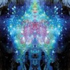 ダム・ザ・ファッジマンク / リデフ・リミキシーズ [CD]