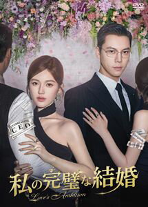 私の完璧な結婚 DVD-BOX2 [DVD]