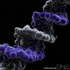 MONKEY MAJIK / DNA（CD＋ブルーレイ） [CD]