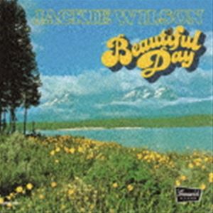 ウィルソン ジャッキー ビューティフル デイ プラス3詳しい納期他、ご注文時はお支払・送料・返品のページをご確認ください発売日2022/6/15ジャッキー・ウィルソン / ビューティフル・デイ ＋3ビューティフル デイ プラス3 ジャンル ...