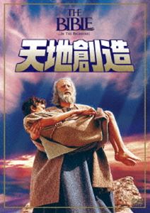 天地創造 DVD