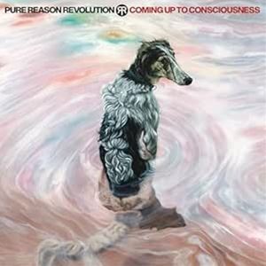 乐天商城 - 輸入盤 PURE REASON REVOLUTION / COMING UP TO CONSCIOUSNESS [CD]