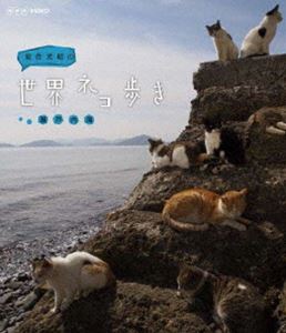 ͥ⤭ ⳤ [Blu-ray]