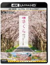 詳しい納期他、ご注文時はお支払・送料・返品のページをご確認ください発売日2019/3/15ビコム 4K HDR Ultra HD Blu-ray 4K さくら HDR 春を彩る 華やかな桜のある風景 ジャンル 趣味・教養カルチャー／旅行／景色 監督 出演 一面を淡く染め美しく咲き誇る満開の桜。まるで雪景色のようにひらひらと舞い落ちる桜吹雪。頭上を覆うように咲き乱れながら延々と続く桜のトンネル。幻想的にライトアップされ妖艶な姿を見せる日本最古のソメイヨシノなど。どこか懐かしく、春の訪れを感じさせる桜の絶景を集めたUltra HD Blu-ray。※こちらの商品は【Ultra HD Blu-ray】のため、対応する機器以外での再生はできません。 種別 Ultra HD Blu-ray JAN 4932323570549 カラー カラー 組枚数 1 製作年 2019 製作国 日本 音声 リニアPCM（5.1ch）リニアPCM（ステレオ） 販売元 ビコム登録日2019/01/10