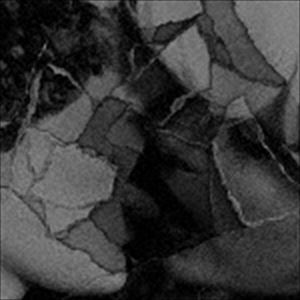 mouse on the keys / Out of Body [CD]