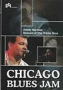 CHICAGO BLUES JAM： JAMES HARMAN／HOWARD ＆ THE WHITE BOYS [DVD]