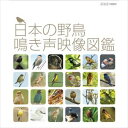 詳しい納期他、ご注文時はお支払・送料・返品のページをご確認ください発売日2015/4/28日本の野鳥 鳴き声映像図鑑 ジャンル 趣味・教養動物 監督 出演 日本でみられる野鳥たちの鳴き声を、NHKの膨大な素材から厳選したハイビジョン映像と共にお届け。「日本野鳥の会」の松田道生氏書き下ろしによる、野鳥の生態の詳しい解説も収録。「鳴き声」「映像」「解説」を1枚に凝縮した映像でみる“野鳥の鳴き声図鑑”の決定版。 種別 Blu-ray JAN 4988066210570 収録時間 109分 カラー カラー 組枚数 1 製作年 2015 製作国 日本 音声 リニアPCM（ステレオ） 販売元 NHKエンタープライズ登録日2018/09/03