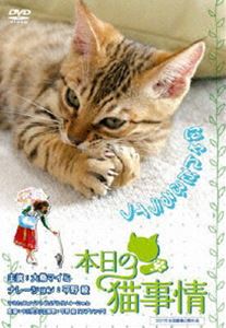 本日の猫事情 [DVD]