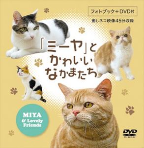 詳しい納期他、ご注文時はお支払・送料・返品のページをご確認ください発売日2009/5/28ミーヤ とかわいいなかまたち ジャンル 趣味・教養動物 監督 出演 種別 DVD JAN 4580127274578 収録時間 45分 製作年 2009 製作国 日本 販売元 テクニカルスタッフ登録日2009/04/15