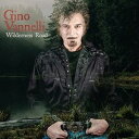 輸入盤 GINO VANNELLI / WILDERNESS