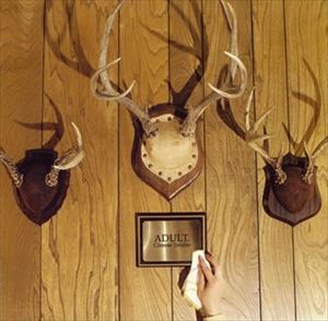 アダルト / Gimmie Trouble [CD]