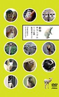 詳しい納期他、ご注文時はお支払・送料・返品のページをご確認ください発売日2008/4/23動物チラリズム -カメラ目線動物写真DVD- ジャンル 趣味・教養動物 監督 出演 動物写真家・やきそばかおるが週1〜2ヶ所のペースで全国の動物園をまわり、撮影された動物の中からカメラ目線の写真を、楽しく、かわいく、おもしろく収録。｢動物チラリズム｣をコンセプトそのままに、色々な動物“チラリ”写真が満載。清水ミチコ、西村雅彦によるおもしろひと言コメントと共に“動物チラリズム”に癒される。特典映像特典映像収録 種別 DVD JAN 4580226561586 収録時間 50分 カラー カラー 組枚数 1 製作国 日本 音声 DD（ステレオ） 販売元 ビクターエンタテインメント登録日2008/02/22