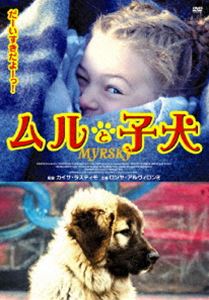 詳しい納期他、ご注文時はお支払・送料・返品のページをご確認ください発売日2009/7/24ムルと子犬 ジャンル 洋画ファミリー 監督 出演 愛らしい女の子とわけあり犬の涙と笑いの友情物語。動物の大好きな7歳の少女ムルは、姉と両親とフィンランドで暮らしている。ベルリンを訪れた音楽家の父親は街で可愛い子犬を見つけ、娘たちにと連れて帰ろうとすると、街の人々は不可解にも顔をしかめるのだった。子犬を見たムルは狂喜乱舞し、彼らは大親友になっていく…。 種別 DVD JAN 4511749801590 収録時間 95分 製作年 2008 製作国 フィンランド 販売元 ビーエムドットスリー登録日2009/06/12