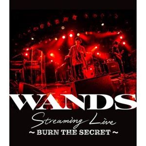 WANDS Streaming Live ～BURN THE SECRET～ 