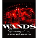 WANDS Streaming Live 〜BURN THE SECRET〜 Blu-ray