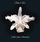 輸入盤 KINGS OF LEON / AHA SHAKE HEARTBREAK LP