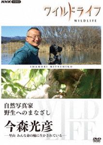 日本 - ワイルドライフ 自然写真家 野生へのまなざし 今森光彦 [DVD]