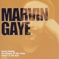 A MARVIN GAYE / COLLECTIONS [CD]