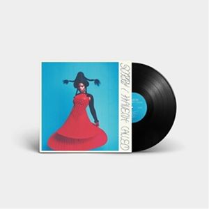 樂天商城 - 輸入盤 VAGABON / SORRY I HAVEN’T CALLED [LP]