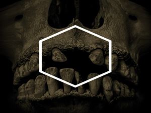 輸入盤 VARIOUS ARTISTS / OTHERS （LUSTMORD DECONSTRUCTED） 