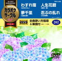 詳しい納期他、ご注文時はお支払・送料・返品のページをご確認ください発売日2017/6/21テイチクDVDカラオケ カラオケサークルW ベスト4 ジャンル 趣味・教養その他 監督 出演 収録内容わすれ宿／夢千里／人生花暦／忍ぶの乱れ 種別 DVD JAN 4988004789649 組枚数 1 製作国 日本 販売元 テイチクエンタテインメント登録日2017/04/21