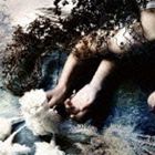 文菜 / IN THE SEA [CD]