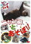 ねこ（猫）ざ ランド エクストラ（EX） 2 ニャンコとあそぼ!! [DVD]