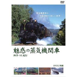 ̥�Ǥξ������ؼ� �͵���SL���� ������ [DVD]