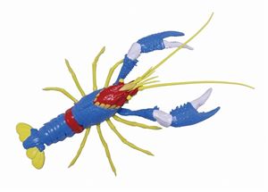 ͳ楷꡼ No.247 ȥ ꥫꥬ ȥͻ ץǥ