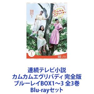 ☆お値下げ☆NHK カムカムエヴリバディ 完全版 ブルーレイBOX1