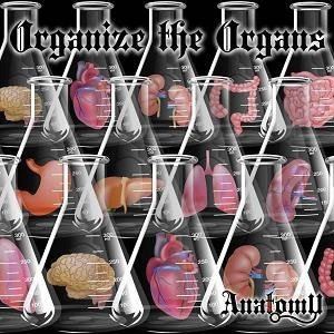 Anatomy / Organize the Organs [CD]