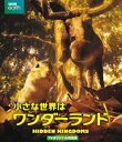 詳しい納期他、ご注文時はお支払・送料・返品のページをご確認ください発売日2015/11/3小さな世界はワンダーランド TVオリジナル完全版 ジャンル 海外TVドキュメンタリー 監督 マーク・ブラウンロウ 出演 スティーヴン・フライ小さな生きものにスポットを当て、彼らが生きている小さな世界を、最新特殊カメラを駆使した驚異の映像で、ドラマチックに描き出したネイチャー・エンタテインメント・ムービー。「Episode1 ミニミニ大作戦」「Episode2 秘密の森」「Episode3 コンクリート・ジャングル」全3エピソード収録。特典映像メイキング（「ミニミニ大作戦」編／「秘密の森」編／「コンクリート・ジャングル」編）／エクストラメイキング集関連商品BBCネイチャードキュメンタリー 種別 Blu-ray JAN 4589921401708 収録時間 148分 画面サイズ ビスタ カラー カラー 組枚数 1 製作年 2014 製作国 イギリス 字幕 日本語 音声 英語（5.1ch）日本語（ステレオ） 販売元 ギャガ登録日2015/08/07