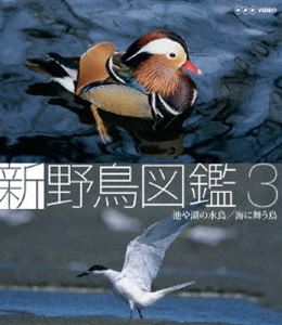 Blu-ray 新 野鳥図鑑 第3集 池や湖の水鳥／海に舞う鳥 [Blu-ray]