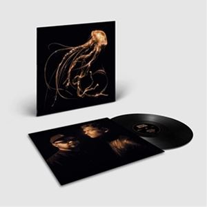 A ROYAL BLOOD / BACK TO THE WATER BELOW [LP]