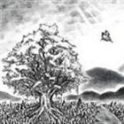 BUMP OF CHICKEN / ユグドラシル CD