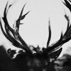 Ihsahn / IHSAHN（通常盤） [CD]