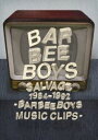 バービーボーイズ／SALVAGE 1984-1992 BARBEE BOYS MUSIC CLIPS DVD